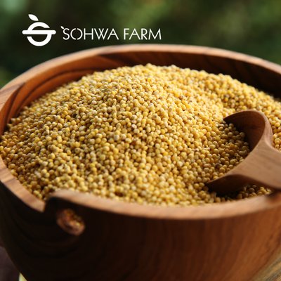 2025년 국산 햇 기장쌀 1kg 노란 좁쌀 찰기장