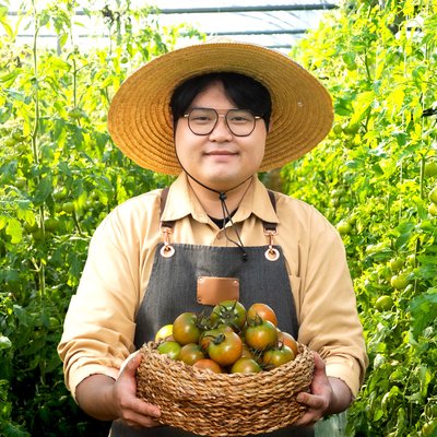 부산 대저 짭짤이토마토 토마토 2.5kg 짭짜리