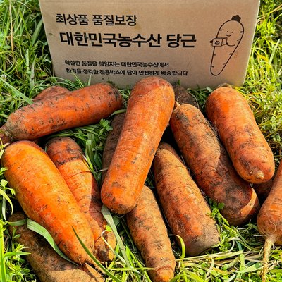 국내산 햇 당근 흙 주스용 쥬스용