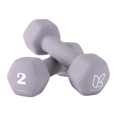 아리프 선인장 미용 아령 여자 홈트 덤벨 2kg, 2개, 코튼 라일락