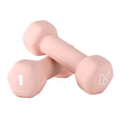 아리프 선인장 미용 아령 여자 홈트 덤벨 1kg, 2개, 큐피드 핑크