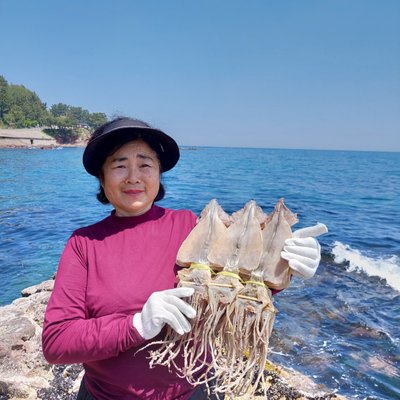 오징어엄마 마른오징어 건조오징어 건오징어 말린 왕특 5미