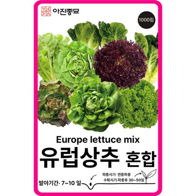 유럽상추 씨앗 1000립 / 혼합 쌈 채소씨앗 야채 버터헤드 로메인 바타비아 봄 종자