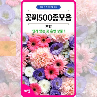 꽃씨 500종 모음 혼합 100립 꽃씨몰 다년생 노지월동 야생화 봄 꽃씨앗 종자