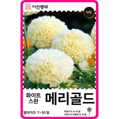 메리골드 씨앗 10립 / 화이트스완 메리골드 종자 봄 가을 꽃씨몰 [아진종묘]