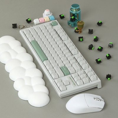 SPM PL87C PBT 몽돌 텐키리스 게이밍 기계식 키보드
