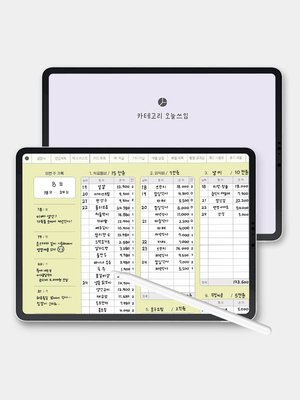 1분발송 리훈 카테고리 오늘쓰임 가계부 용돈기입장 굿노트 아이패드 PDF 속지