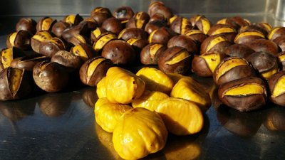 약단밤이야기 2025 칼집 약단밤 1kg 생율밤 공주밤 공주알밤 군밤