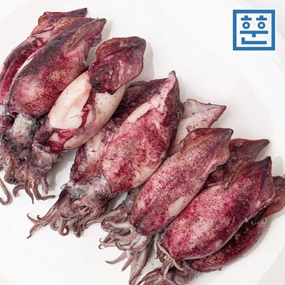 총알 한치 미니 총알한치 오징어 통찜용