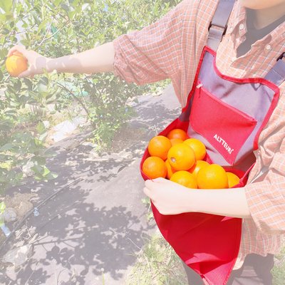 필굿리빙 수확 앞치마 캥거루 수확용 감따는 과일 원예용 농사용 고사리 농사