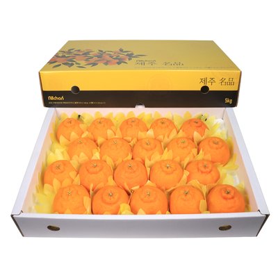 제주도 한라봉 가정용 선물세트 3kg 5kg 10kg