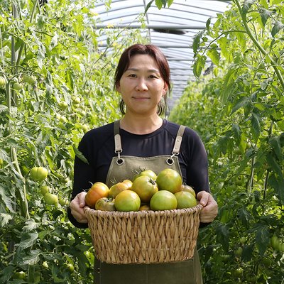 대저 짭짤이 토마토 2.5kg 로얄과 특품 부산