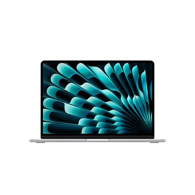 애플 맥북에어 13 M5 CPU 10코어 GPU 10코어 24GB, 1TB, 실버