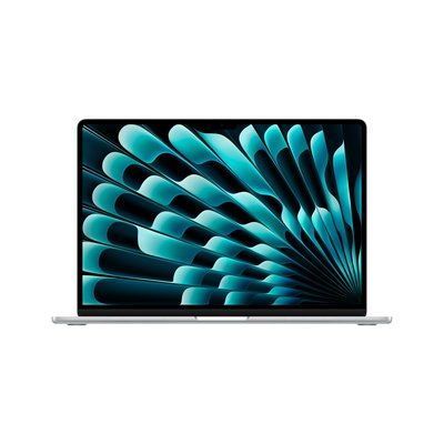 애플 맥북에어 15 M5 CPU 10코어 GPU 10코어 16GB, 1TB, 실버