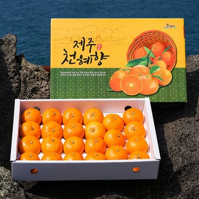 제주 천혜향 3kg 5kg 제철과일 가정용 선물 세트