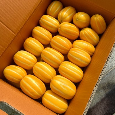 모라크 성주참외 고당도 꿀참외 당도선별 특품 1.5kg