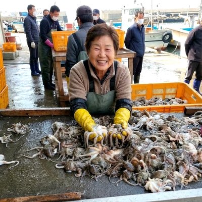 국내산 생물 서해안 활 쭈꾸미 급냉쭈꾸미 자연산 제철 알배기 알쭈꾸미 주꾸미1kg